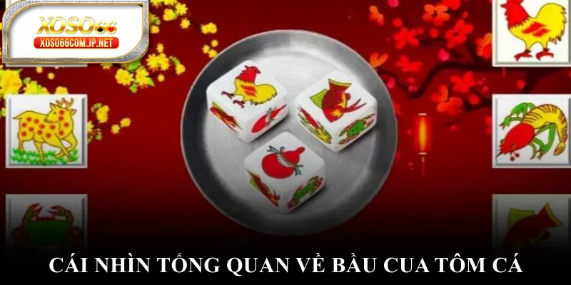 Cái nhìn tổng quan về bầu cua tôm cá