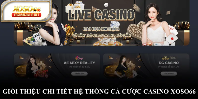 Giới thiệu chi tiết hệ thống cá cược casino XOSO66