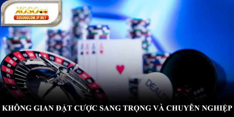Không gian đặt cược sang trọng và chuyên nghiệp