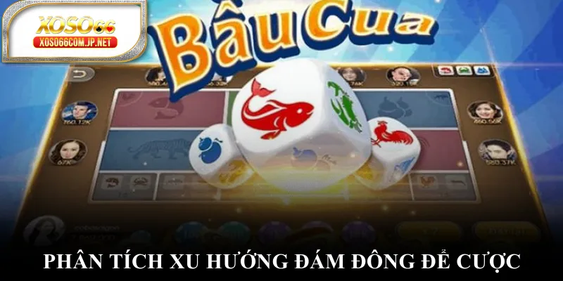 Phân tích xu hướng đám đông để cược