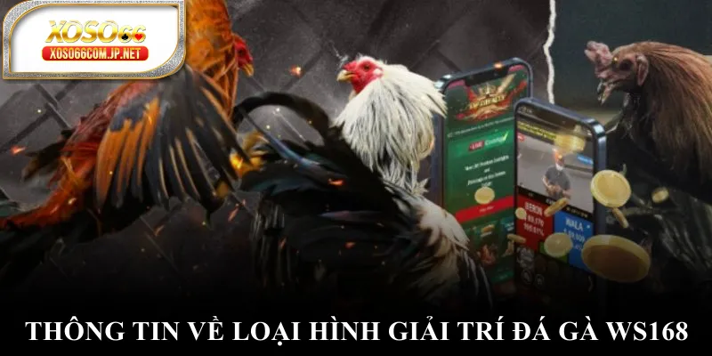 Thông tin về loại hình giải trí đá gà WS168