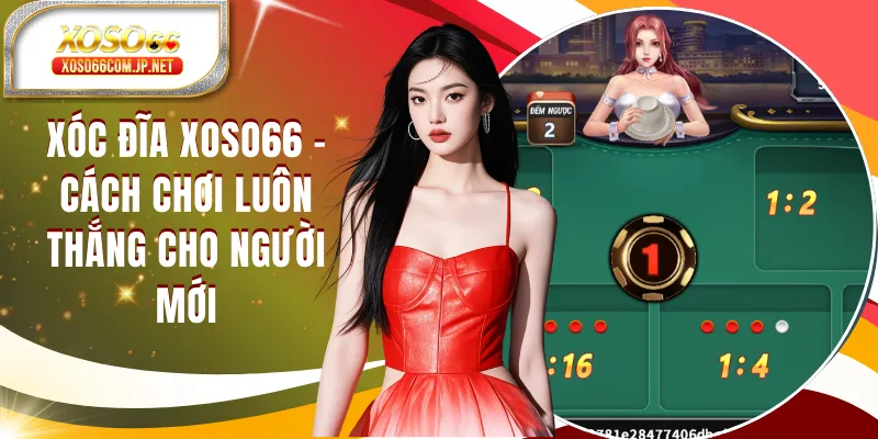 Xóc Đĩa XOSO66  Và Bộ Nguyên Tắc Vàng Chơi Luôn Thắng